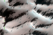 Terrain Sample