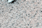 Terrain Sample