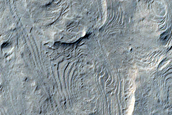 Planar Layering in Lucus Planum