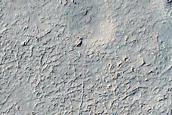 Lava in Southern Elysium Planitia