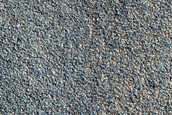Terrain Sample