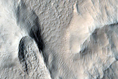 Sinuous Ridges on Surface of Concentric Crater Fill in Nilosyrtis Mensae