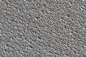 Terrain Sample