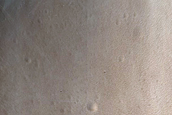 Terrain Sample