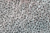 Terrain Sample