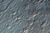 Terrain Sample
