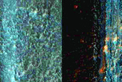 Terrain Sample