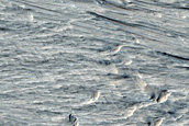 Terrain Northeast of Gordii Dorsum