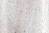 Possible Northern Araneiform Terrain
