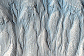 Gully Monitoring