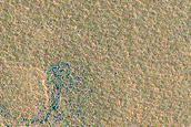 Terrain Sample