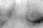 Terrain Sample