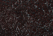 Terrain Sample