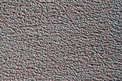 Terrain Sample