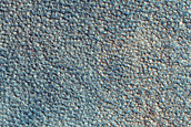 Terrain Sample