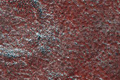 Northern High-Latitude Frost-Enhanced Polygons