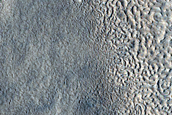 Terrain Sample