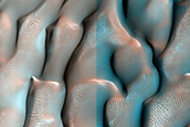 Dune Monitoring in Lyot Crater
