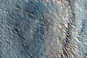 Gullies and Crater Fill in Acidalia Planitia