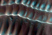 Polar Scarp Dunes Dubbed Hermosa