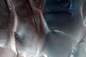Dunes Dubbed Tleilax