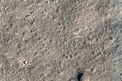 Terrain Sample in Nepenthes Planum