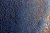 Impact Monitoring Site among Polygons Northeast of Lyot Crater
