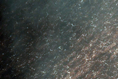 Terrain Sample