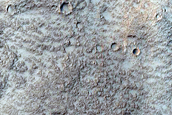 Terrain Sample