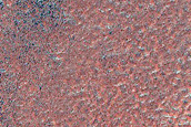 Crater Monitoring