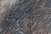 Nepenthes Planum