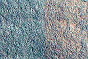 Gully and Frost Monitoring
