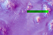 Mafic Minerals Ejected by Small Crater on Syrtis Major Planum