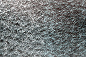Monitor Northern Plains Bright Patches