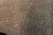 Terrain Sample