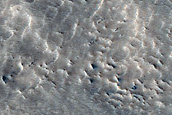 Terrain Sample