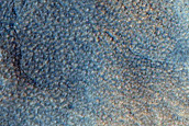 Gullies in Northern Mid-Latitude Crater