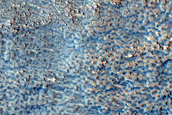 North Arabia Terra Monitoring Site