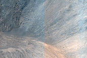 Gully Monitoring