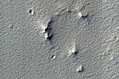 Monitoring Dust Devil Tracks in Noctis Labyrinthus