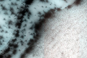Dunes Dubbed Arrakis
