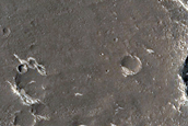 Terrain Sample