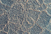 High-Latitude Northern Frost Enhanced Polygons