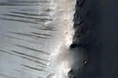 Terrain Sample
