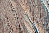 Gully Monitoring