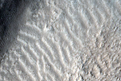 Fresh Impact Crater in Tempe Terra