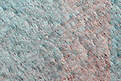 Terrain Sample