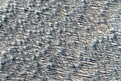 Terrain Sample in Gigas Fossae