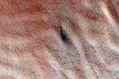 Dunes Dubbed Malibu with Teardrop Defrosting Features