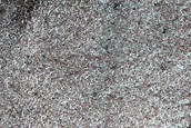 Monitor Dunes with Streaks in Viking 2 Image 544B05